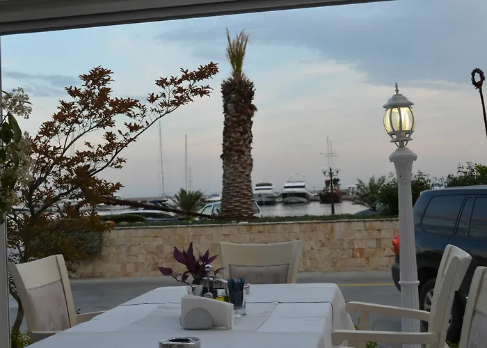 فيلة On The Black Sea *