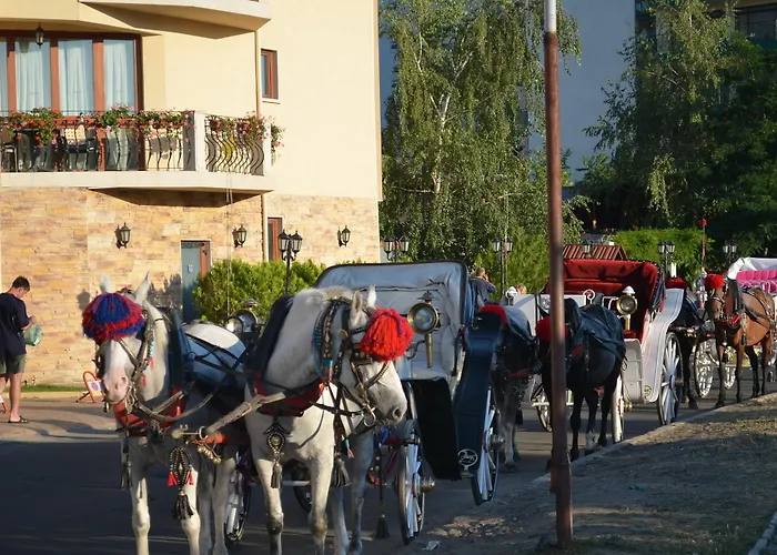 On The Black Sea ساني بيتش